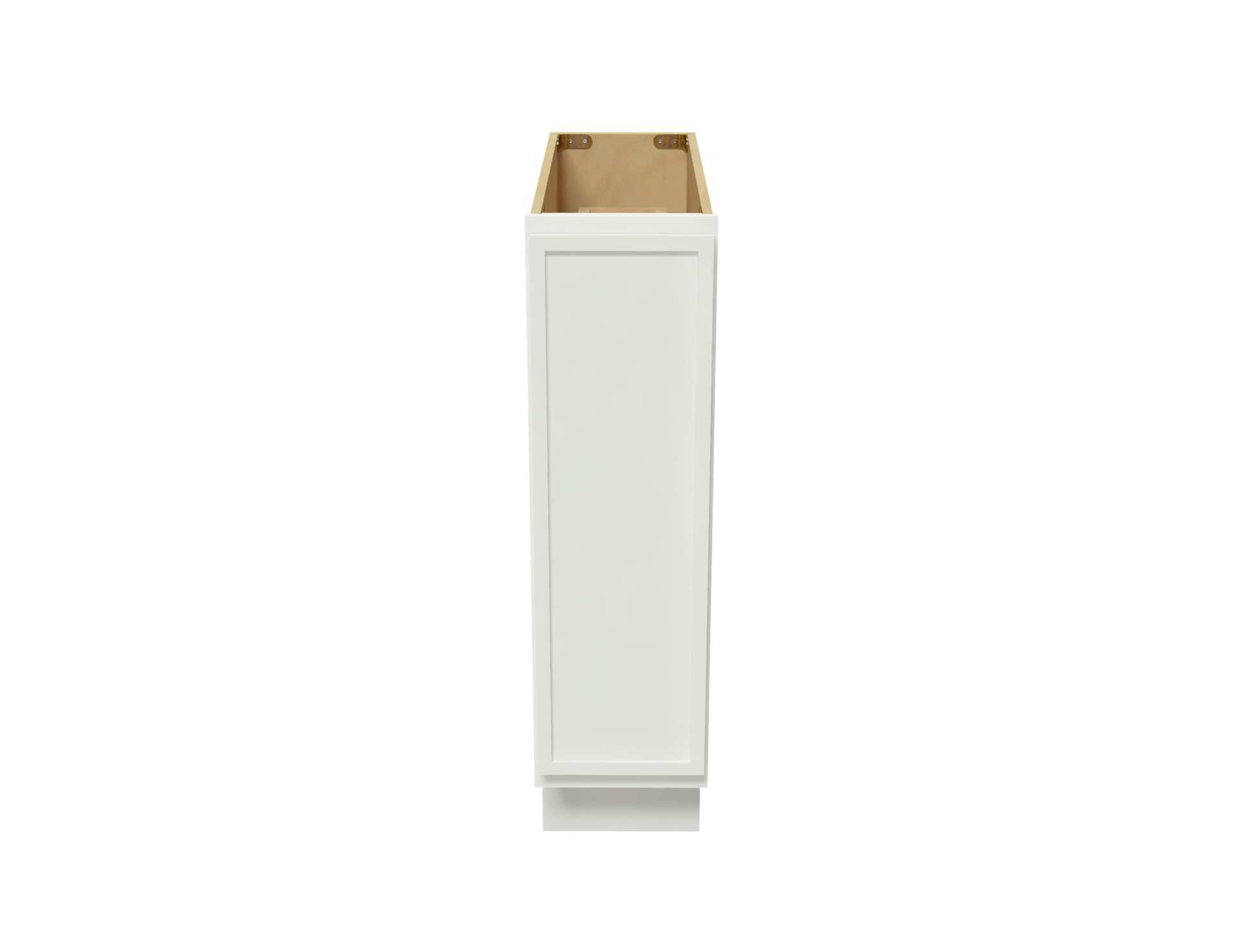 IWSK2-BFP09