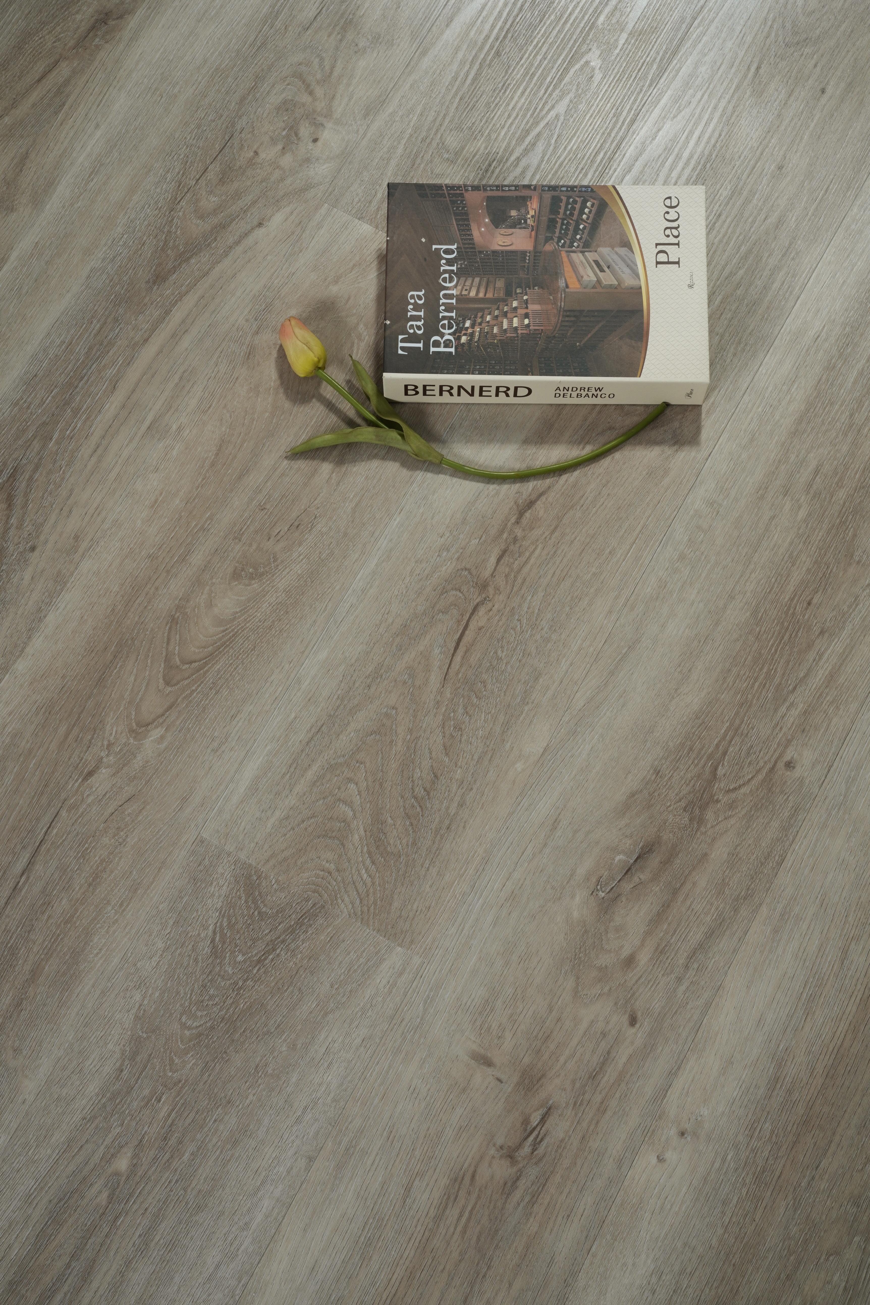 Discontinued - Image 5