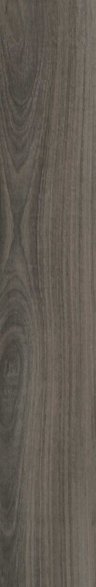 Legacy — Flooring — LVFOAK20-7-7-V2