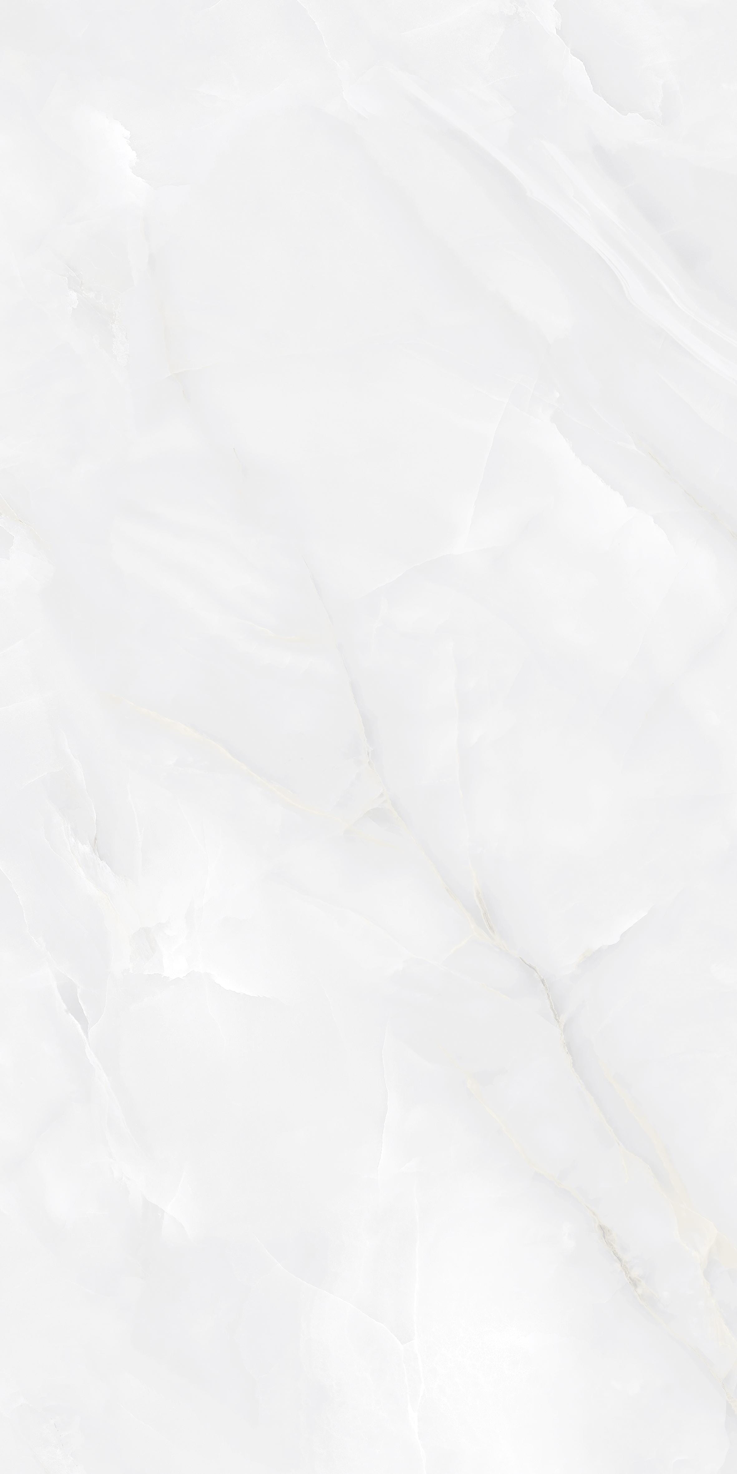 Tiles — TONYNE2448M